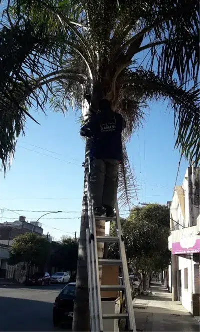 IMG-20200320-WA0047-prueba1